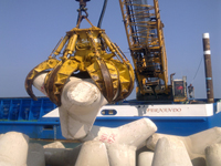 Tetrapod laying in Pesaro’s offshore port